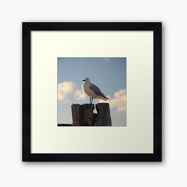 Framed Art Print