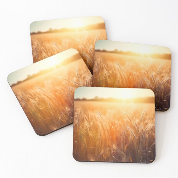 Item preview, Radiant Sunlit Wheat Field at Sunset - Photorealistic Landscapes, UHD Image, Natural Beauty designed and sold by stateofhuman.
