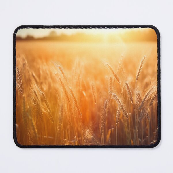 Item preview, Radiant Sunlit Wheat Field at Sunset - Photorealistic Landscapes, UHD Image, Natural Beauty designed and sold by stateofhuman.