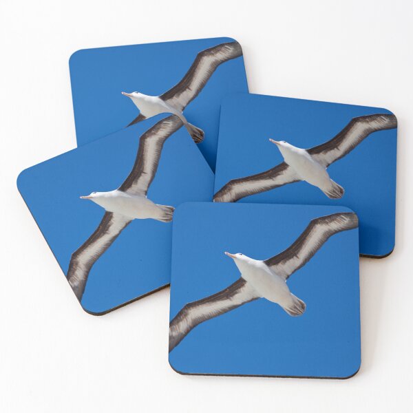 Item preview, Soar (Black-Browed Albatross, Falklands) designed and sold by Krys Bailey.