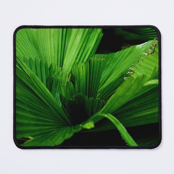 Item preview, Green Patterned Palm Leaf designed and sold by Rav33822.