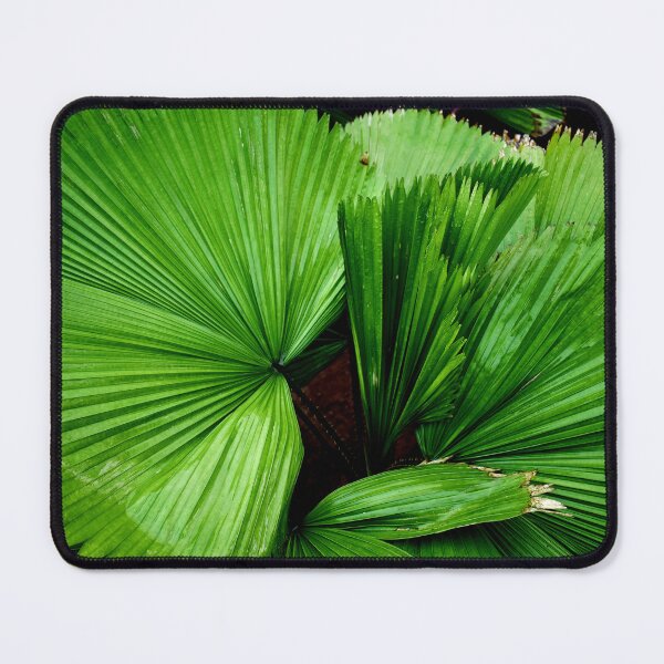 Item preview, Green Patterned Palm Leaf designed and sold by Rav33822.