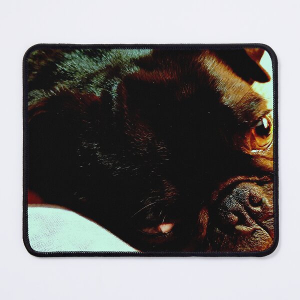 Item preview, ziggy taking a nap designed and sold by dfwilliamson.