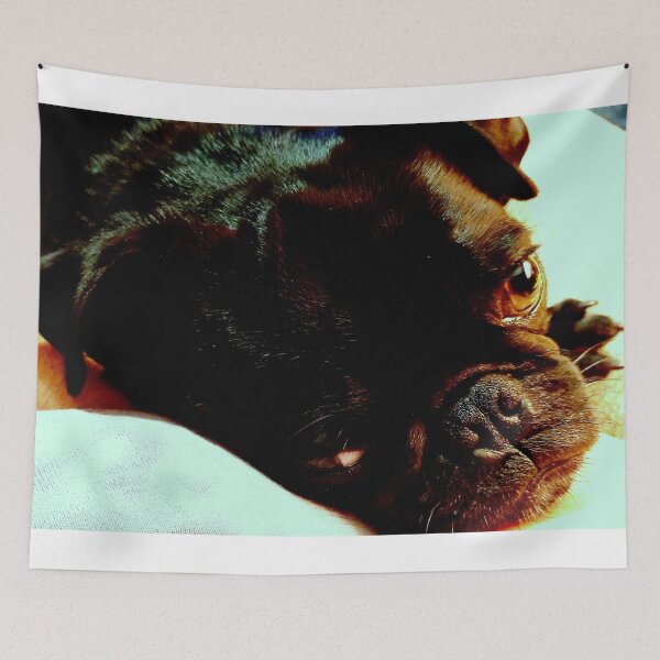 Item preview, ziggy taking a nap designed and sold by dfwilliamson.