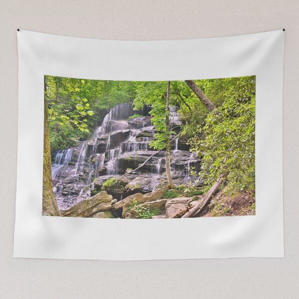Item preview, Oconee County South Carolina Yellow Branch Falls designed and sold by LisaWootenPhoto.