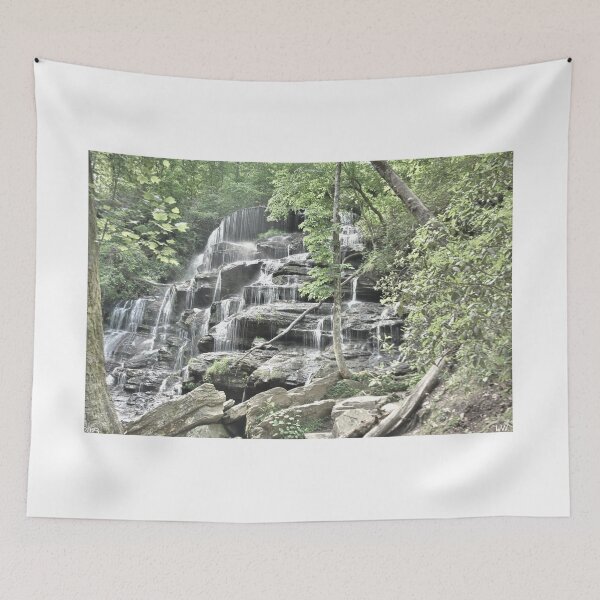 Item preview, Oconee County South Carolina Yellow Branch Falls 2 designed and sold by LisaWootenPhoto.
