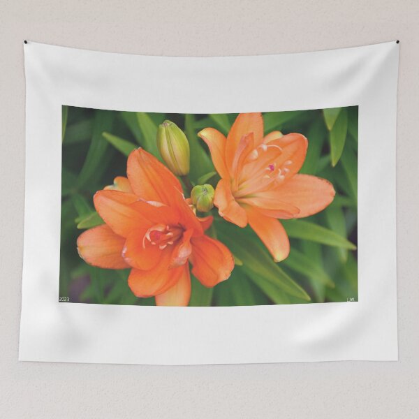 Item preview, Lily Doubles designed and sold by LisaWootenPhoto.