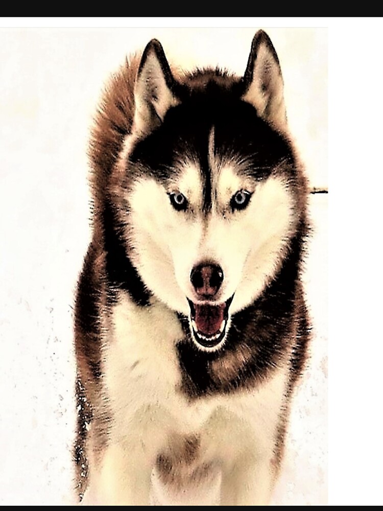 Thumbnail 7 of 7, Active T-Shirt, Siberian Husky designed and sold by RBCat007.