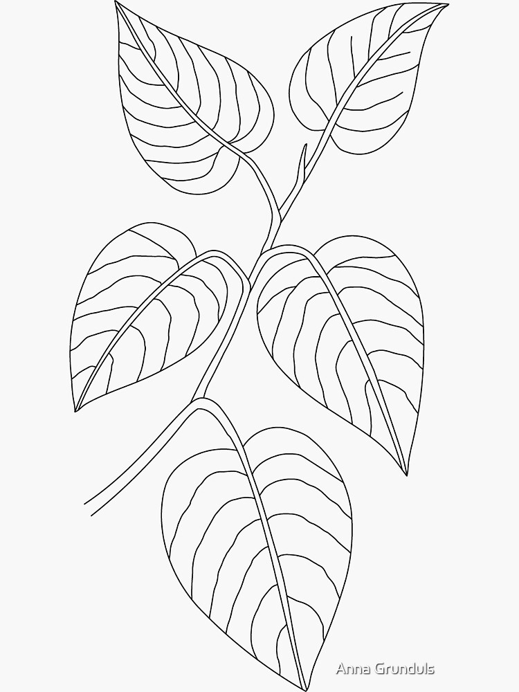 Premium Vector | Collection of botanical leaves isolated on white |  Botanical tattoo, Floral drawing design, Tattoo flash sheet