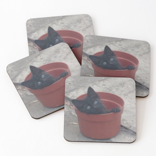 Item preview, Gatito cachorro en una maceta designed and sold by henryshepard.