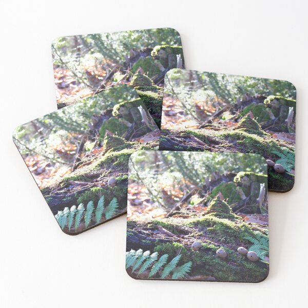 Item preview, log n' mushrooms designed and sold by St-Lazarus.
