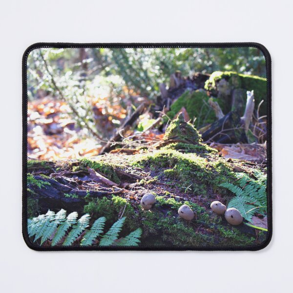Item preview, log n' mushrooms designed and sold by St-Lazarus.