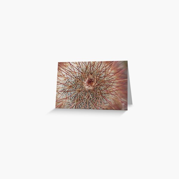 Barbed surface, cactus in thorns Greeting Card