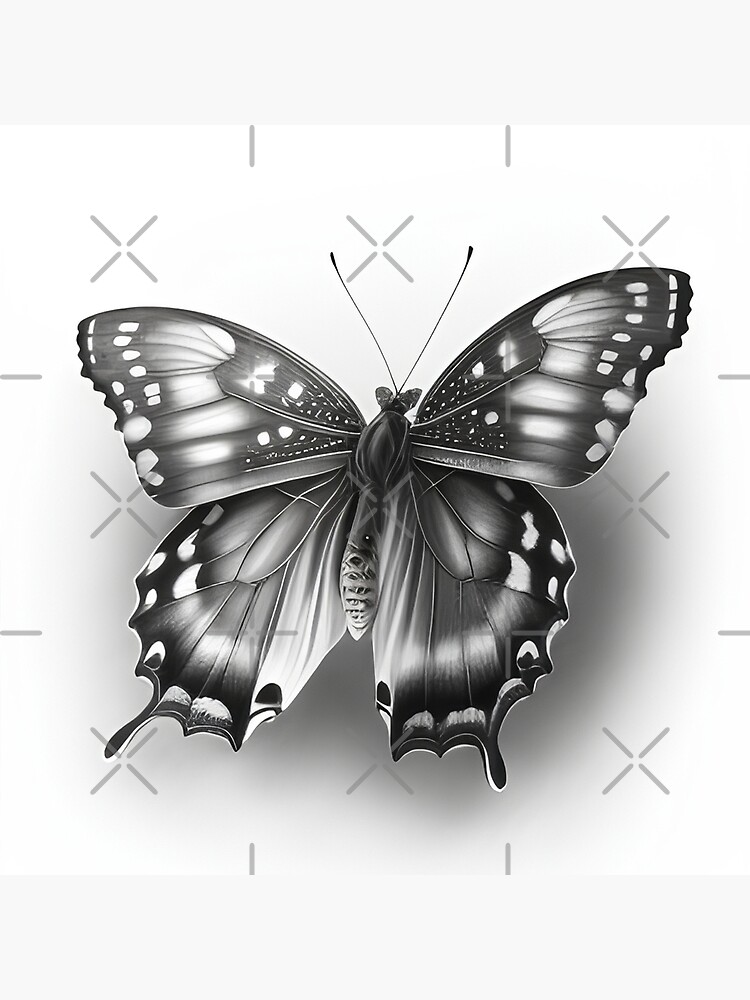 Top View Of Beautiful Monarch Butterfly, Sketch Illustration Isolated On  White Background. Black And White Realistic Hand Drawing Of Monarch  Butterfly On White Background Royalty Free SVG, Cliparts, Vectors, and  Stock Illustration.