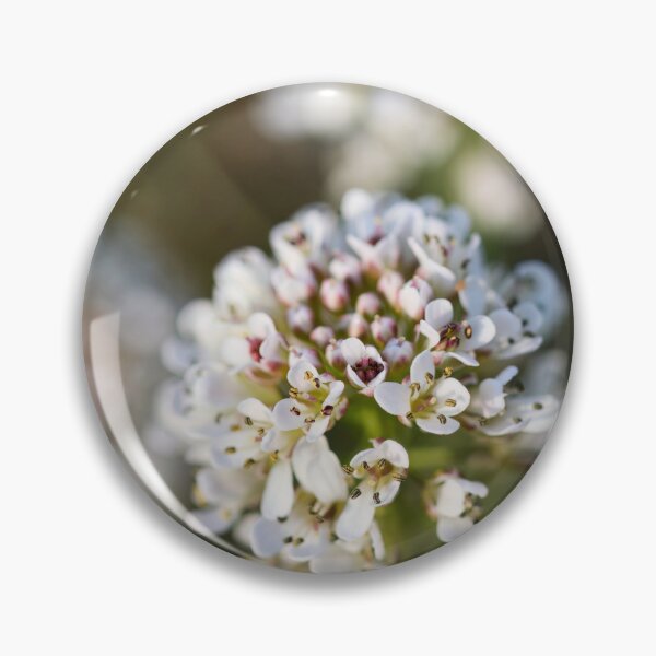 Item preview, Springdreams. Alpine penny-cress designed and sold by Jouko Lehto Photography.