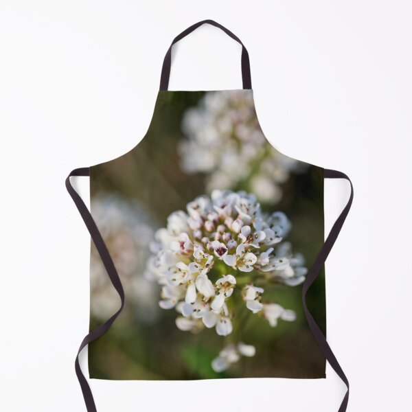 Item preview, Springdreams. Alpine penny-cress designed and sold by Jouko Lehto Photography.
