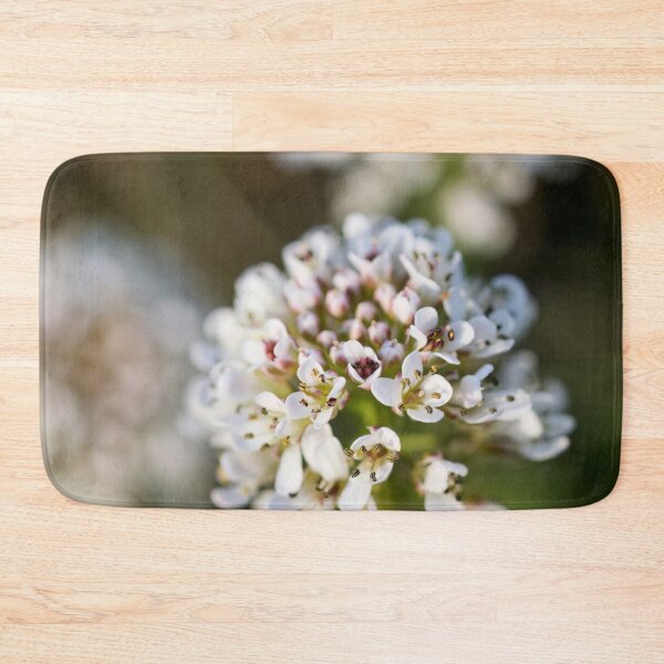 Item preview, Springdreams. Alpine penny-cress designed and sold by Jouko Lehto Photography.