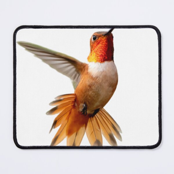 Item preview, Bird flying high designed and sold by Yaa2.