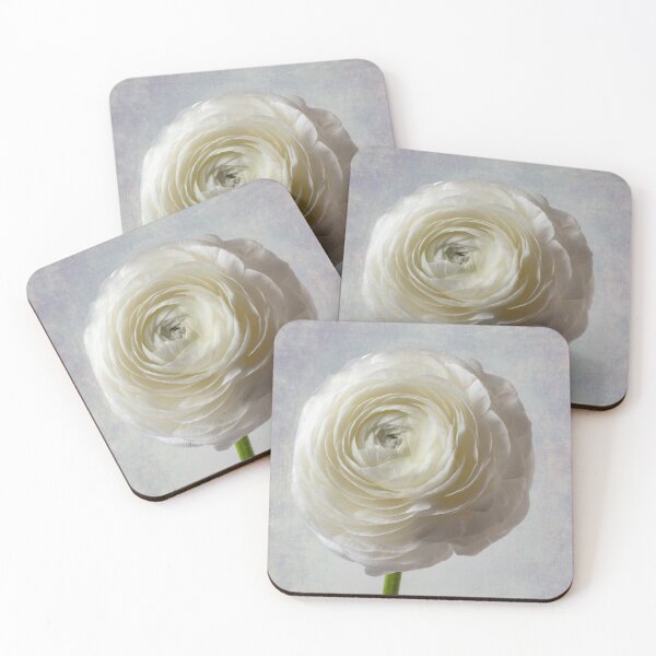 Item preview, Soft Pastel White Ranunculus Flower designed and sold by Garry Gay.