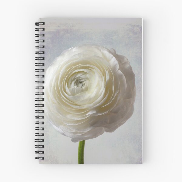 Item preview, Soft Pastel White Ranunculus Flower designed and sold by Garry Gay.