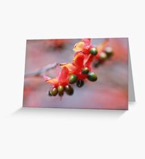 Plant close-up Greeting Card