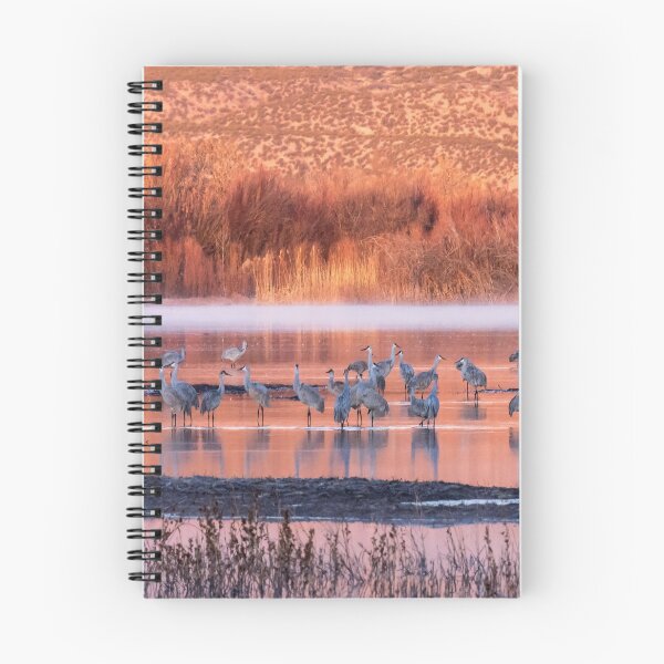 Item preview, Waking up with morning light designed and sold by Alla Gill.