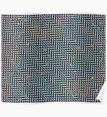 Tierkollektiv - Merriweather Post Pavilion (155MP Cover) Poster