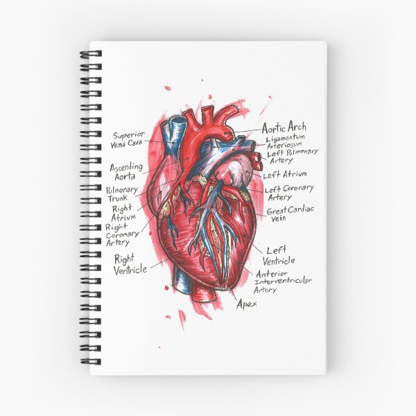 Item preview, The Heart designed and sold by angeldramos.