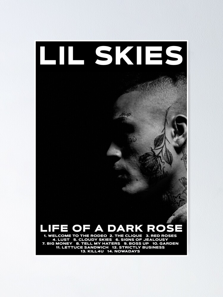 Lil Skies - Life Of A Dark Rose