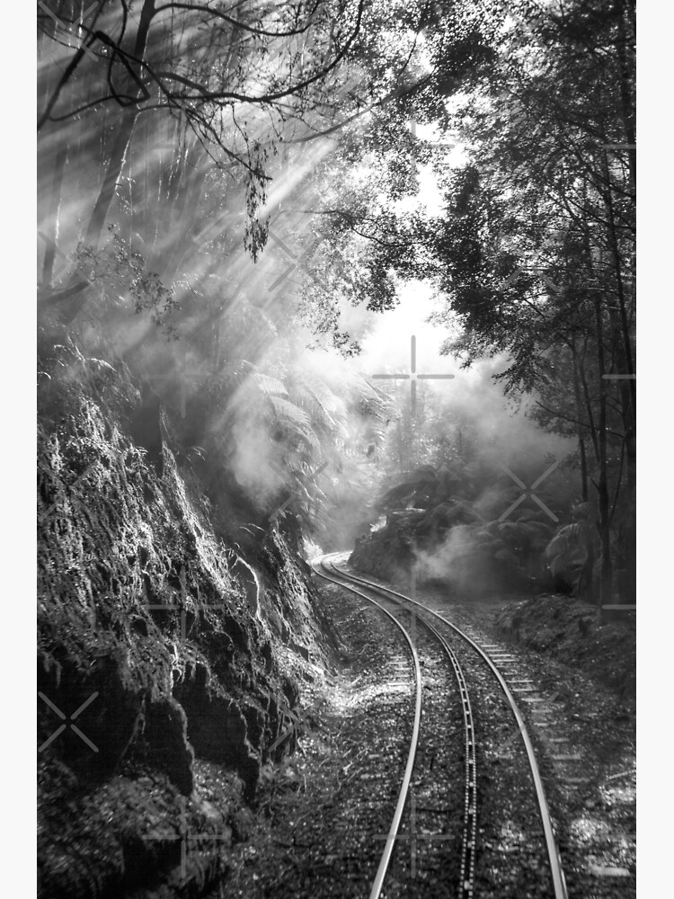 On track by MelBrackstone