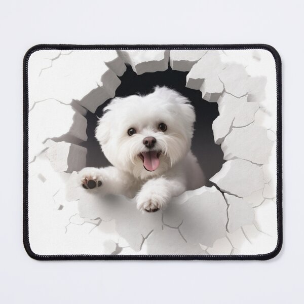 Item preview, Bichon Maltese WATCHING YOU designed and sold by Papel.
