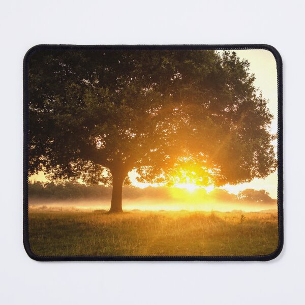 Item preview, A majestic tree in the sunlight designed and sold by ArtistryHQ.