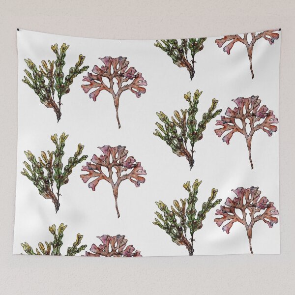 Item preview, Bladderwrack and Irish Sea Moss designed and sold by Genev13ve.