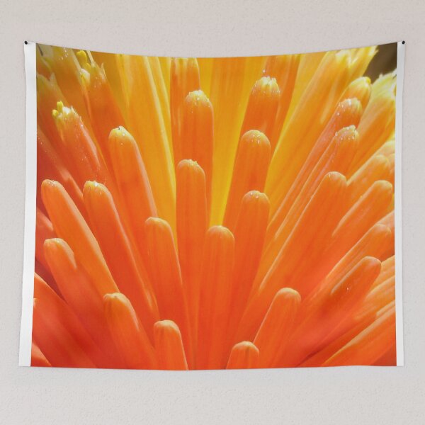 Item preview, Hot Poker Up Close designed and sold by KazM.