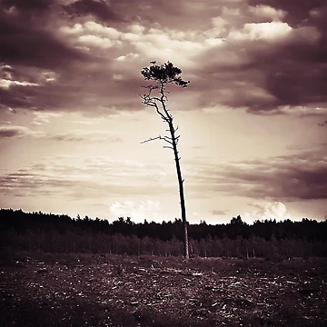 Artwork thumbnail, Solitude by KetzDesign