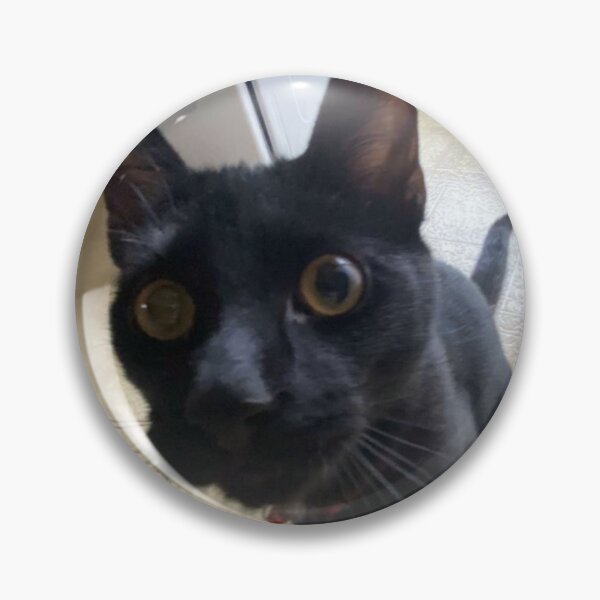 Item preview, Funny cat designed and sold by Kayleeb723.