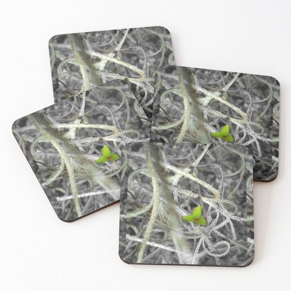 Item preview, Green Shadowmoss  designed and sold by WikkedCreationz.