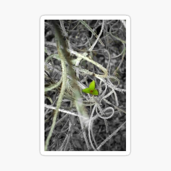 Item preview, Green Shadowmoss  designed and sold by WikkedCreationz.