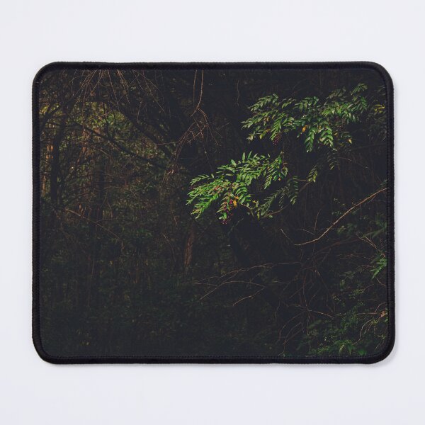 Item preview, Moody Plants in The Forest of Prusia, Cartago. Costa Rica designed and sold by PabloKLD.