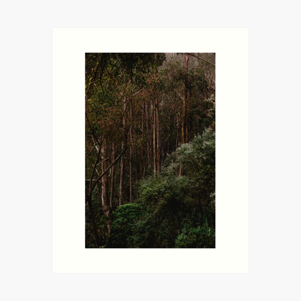 Item preview, Moody Trees in The Forest of Prusia, Cartago. Costa Rica designed and sold by PabloKLD.