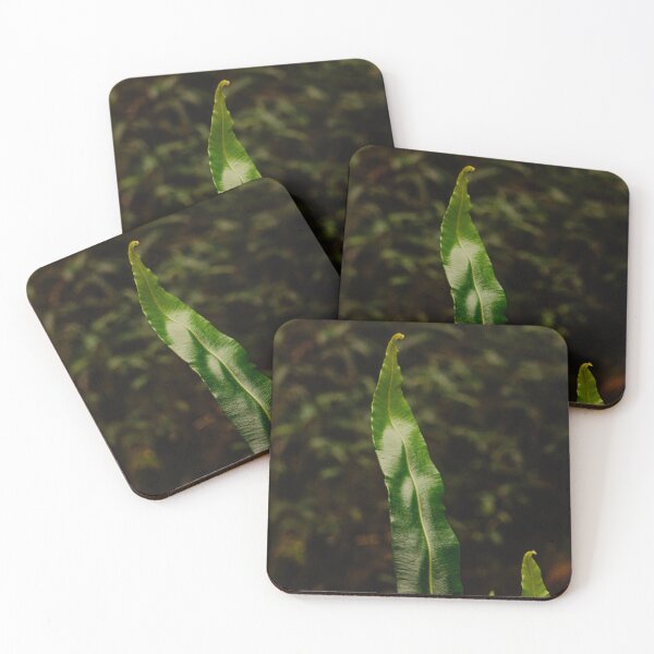 Item preview, Moody Plants in The Forest of Prusia, Cartago. Costa Rica designed and sold by PabloKLD.