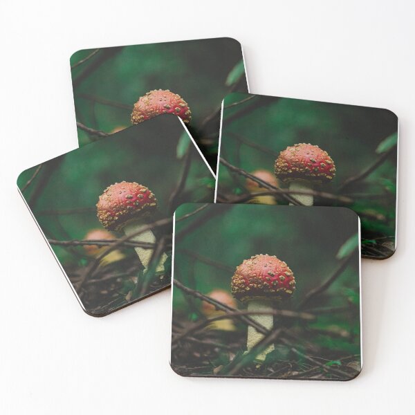 Item preview, Moody Mushroom in The Forest of Prusia, Cartago. Costa Rica designed and sold by PabloKLD.