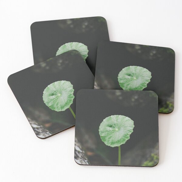Item preview, Moody Leaf in The Forest of Prusia, Cartago. Costa Rica designed and sold by PabloKLD.