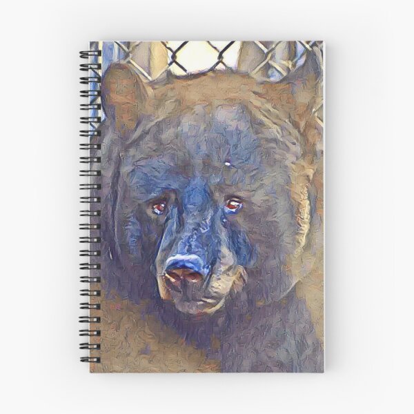 Item preview, Black Bear  designed and sold by Sharon the Zoo Lady Photography .