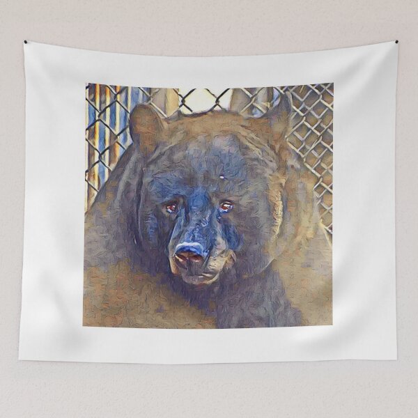 Item preview, Black Bear  designed and sold by Sharon the Zoo Lady Photography .