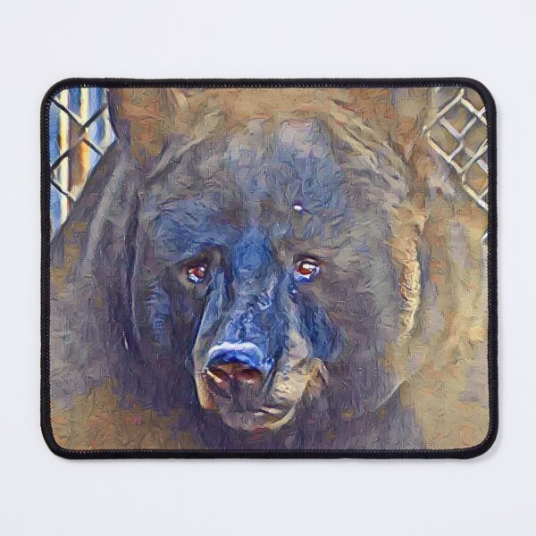 Item preview, Black Bear designed and sold by Sharon the Zoo Lady Photography .