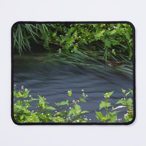 Item preview, Close up of lush foliage and a stream designed and sold by Shizenkai.