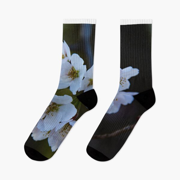 Item preview, Cherry blossoms in bloom designed and sold by Shizenkai.