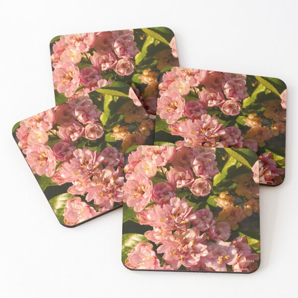 Item preview, Common Hawthorn Flowers  designed and sold by etherealwonders.
