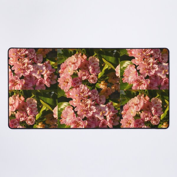 Item preview, Common Hawthorn Flowers designed and sold by etherealwonders.